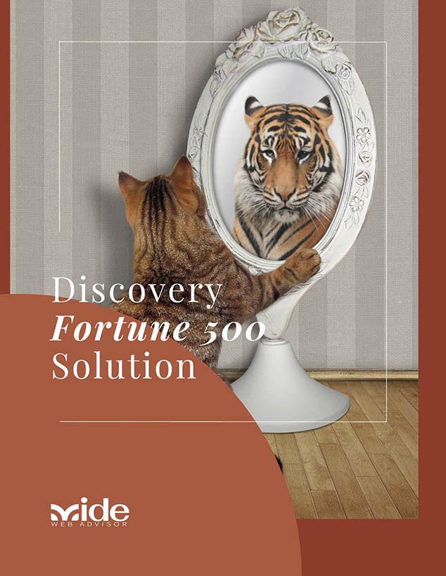 Discovery book cover. Kitten looking in mirror with a big tiger reflecting back.